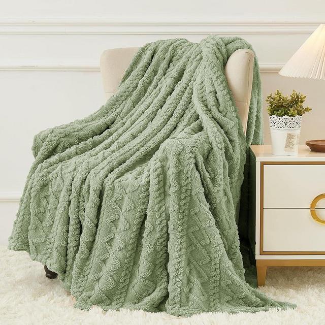 Aganear Fleece Throw Blanket - Cozy Soft Lightweight Fuzzy Throw Blanket for Women Throw Blanket for Couch, Warm Gift for Birthday, Christmas, Valentine's Day, Mother's Day(50"x60", Sage Green)