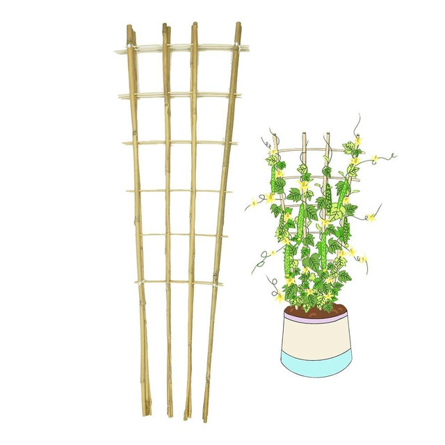 Natural Bamboo Trellis, 4.8Feet,3Pack,Fan-Shaped Plant Support Trellis for Outdoor and Indoor Potted Climbing Plants,Vegetables, Cucumber, Tomato, Hoya,