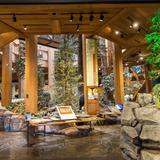 World Forestry Center