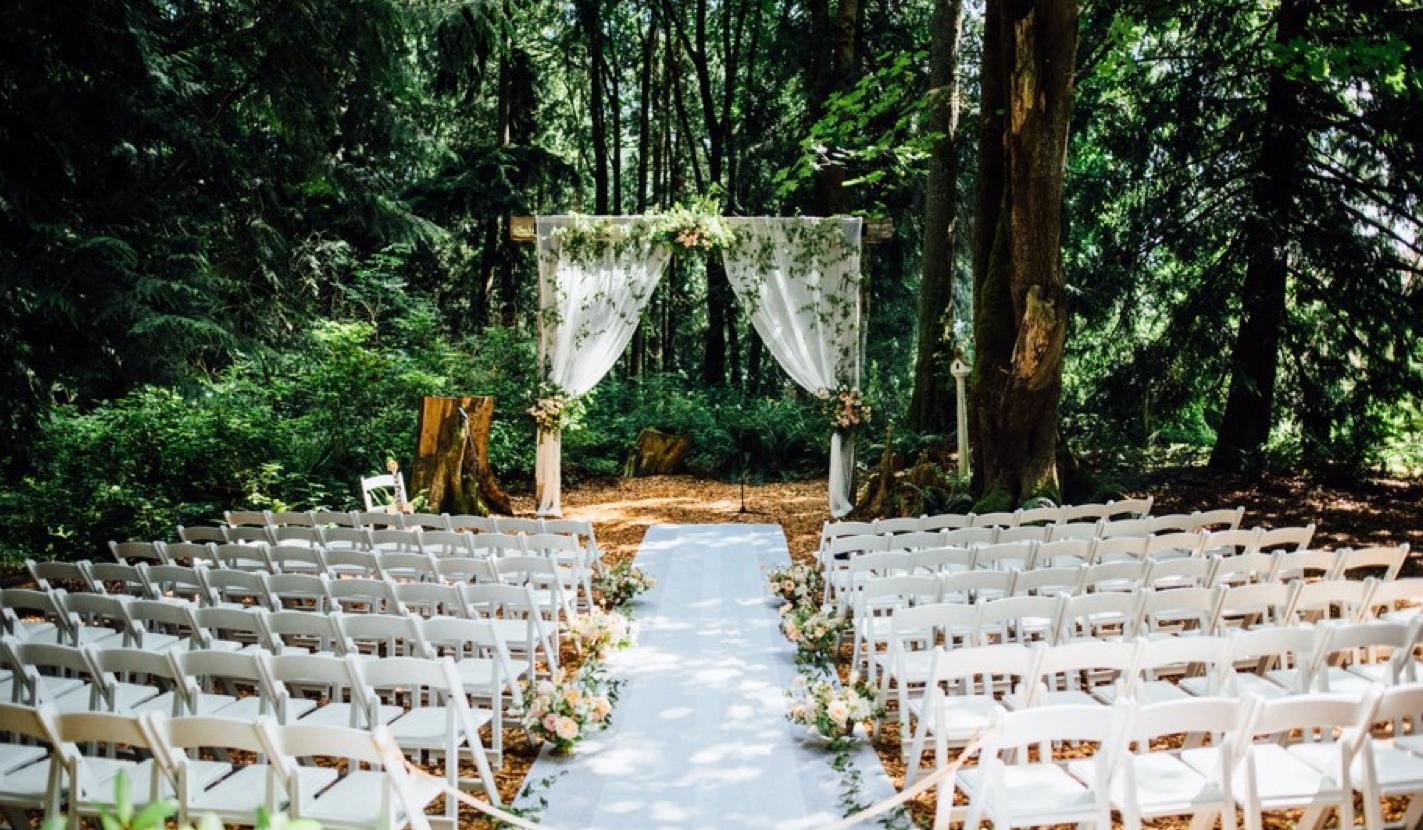 The Wedding Website of Desirèe Whittenberg and Trevor Bisharat