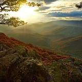 Drive the Blue Ridge Parkway