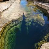 Jacob's Well Natural Area