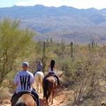 Houston's Horseback Riding