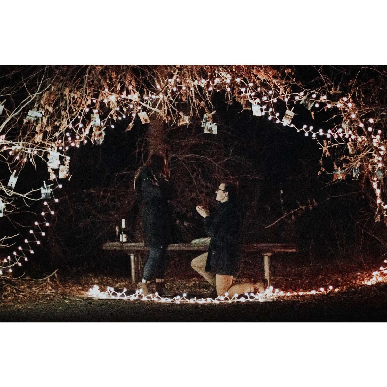 December 15, 2017 - Jake asked & Zoë said yes!