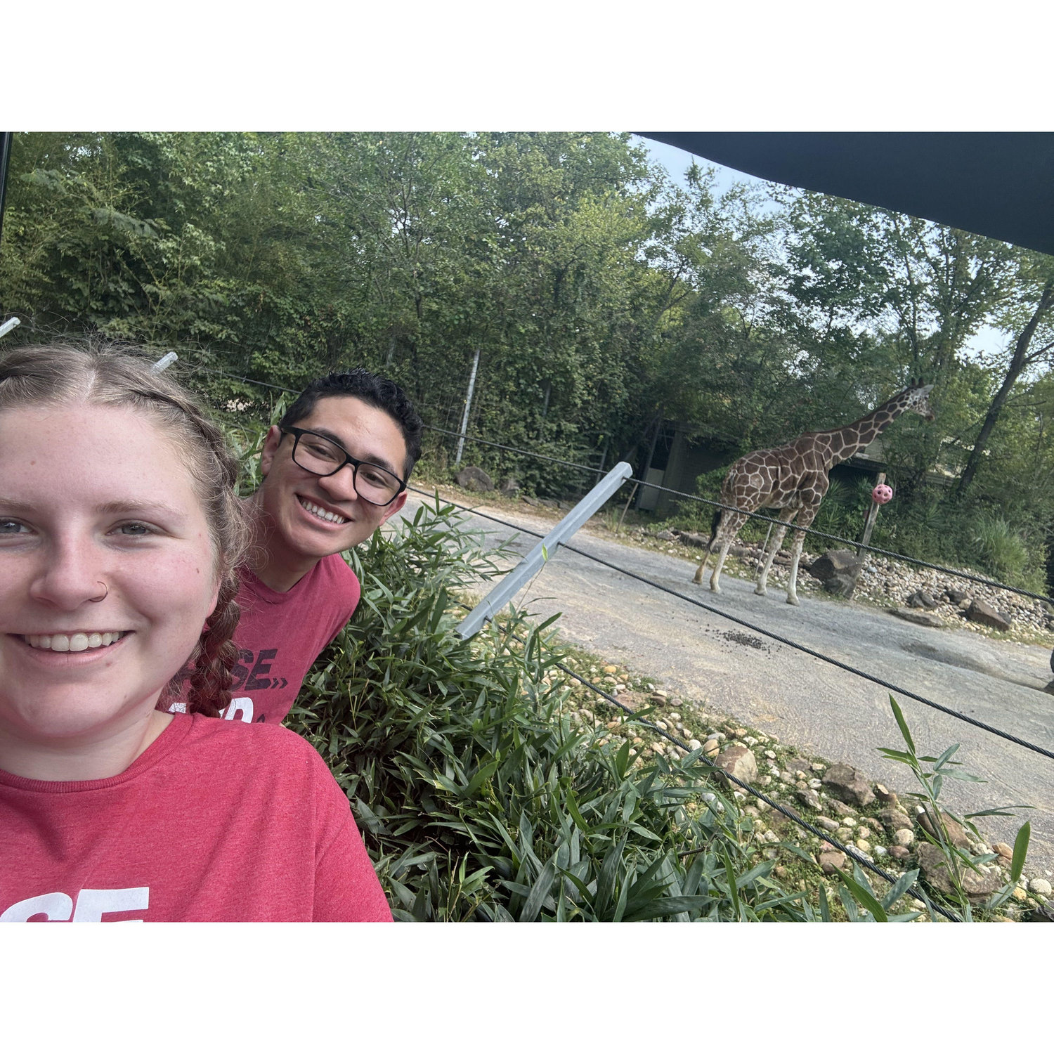 Zoo Trip
