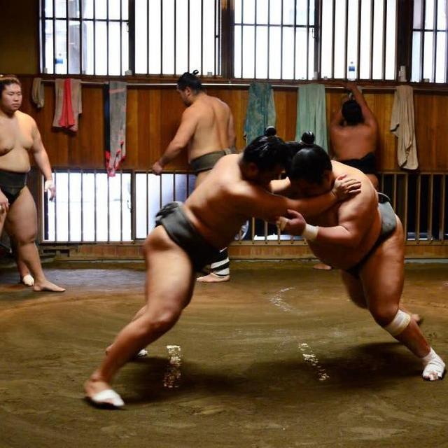 Sumo Training Tour
