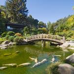 Hakone Japanese Gardens