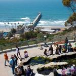 Birch Aquarium