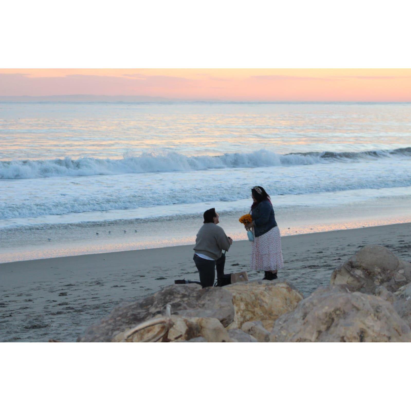 This was the moment, on a quiet Sunday evening when Haley, took my face in her hands and said, "I'm going to propose to you now."