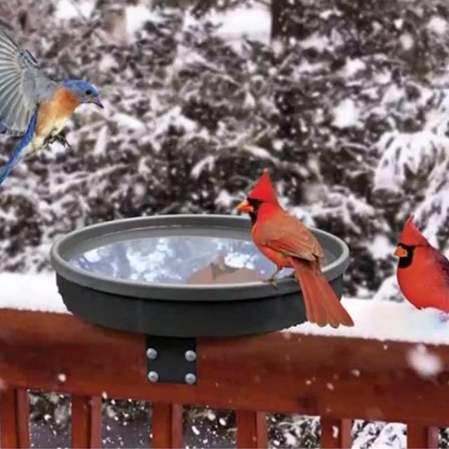 Songbird Spa Heated Birdbath