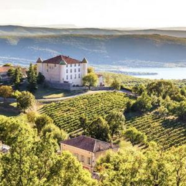 Wine tasting in Provence