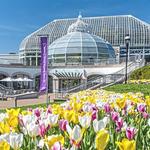 Phipps Conservatory and Botanical Gardens