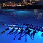 Night Snorkel with Manta Rays