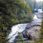 DuPont State Recreational Forest
