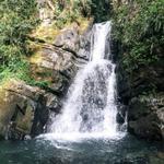 El Yunque National Forest