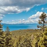 Castle Rock Trail