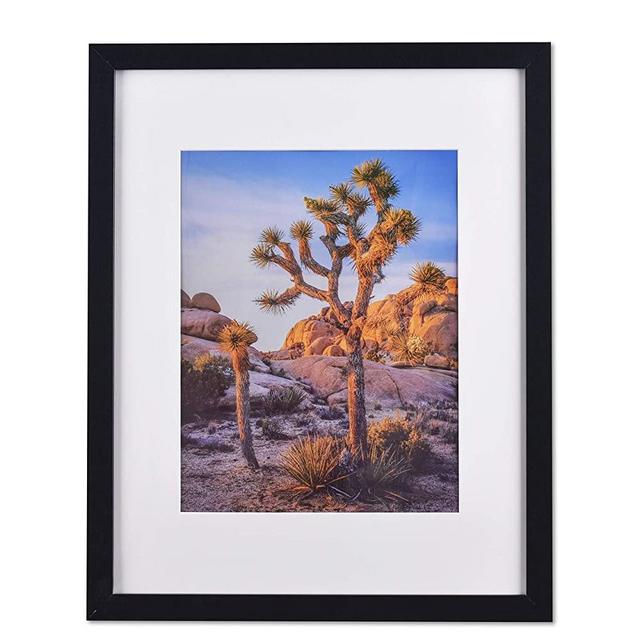 Black 20”x24” Photo Frames matted to 16”x20” Photos, Polystyrene Glass for Wall Hanging (1 set)