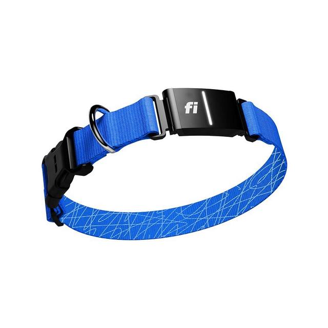 Fi Series 3 Smart Dog Collar - GPS Dog Tracker and Activity & Fitness Monitor, Waterproof, LED Light, Escape Alerts, Nationwide Coverage [Free 1 Year Membership] (Blue, Large)
