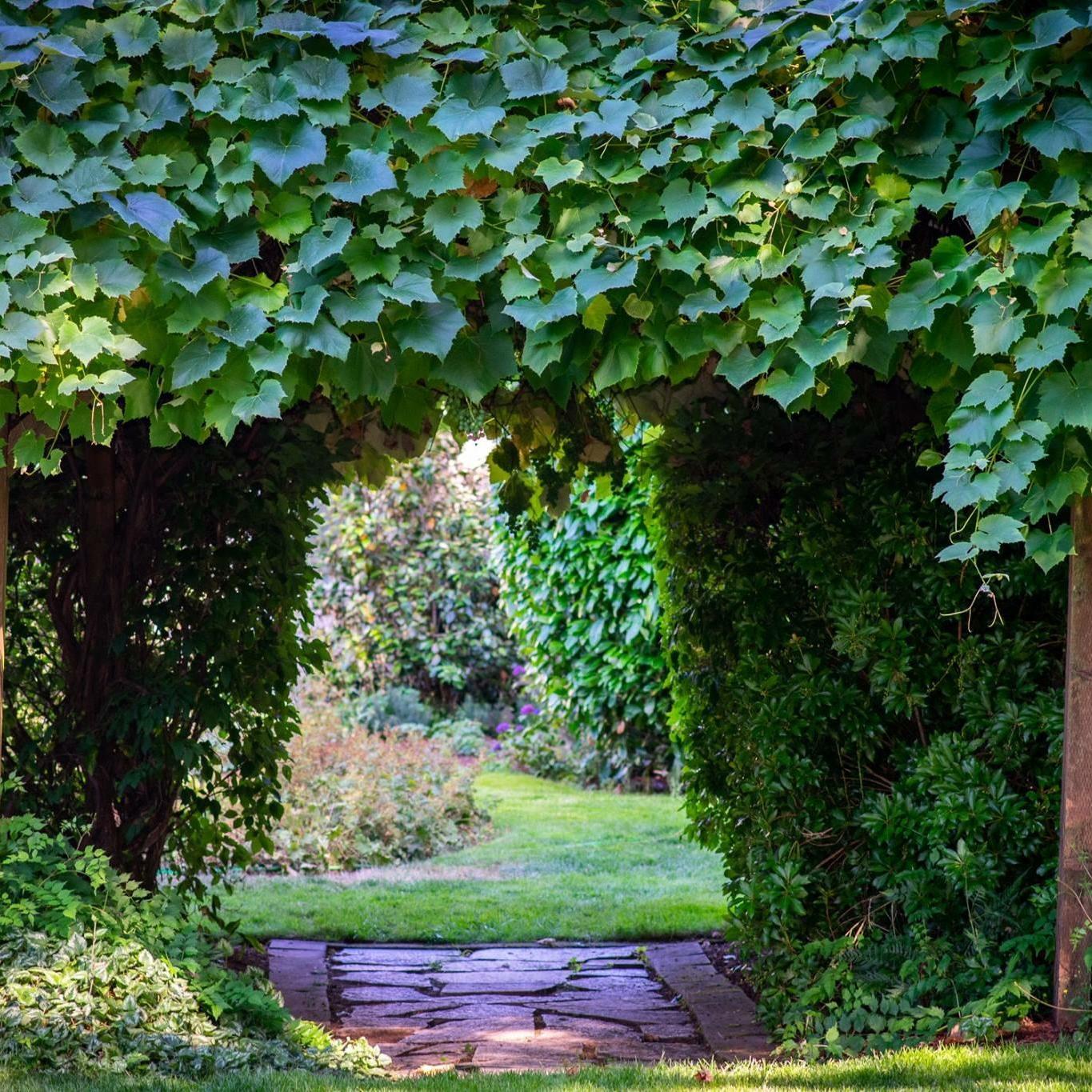 Archway to lawn game area