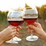 Crush on Canandaigua Wine Tour