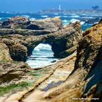 Point Arena-Stornetta Public Lands