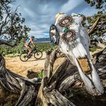 Phil's World Mountain Biking Park