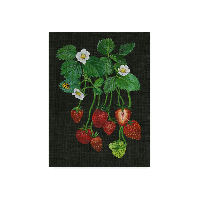 Melissa Wang Strawberry Fields II Canvas Art - 20" x 25"