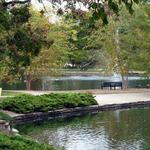 Loose Park Pond