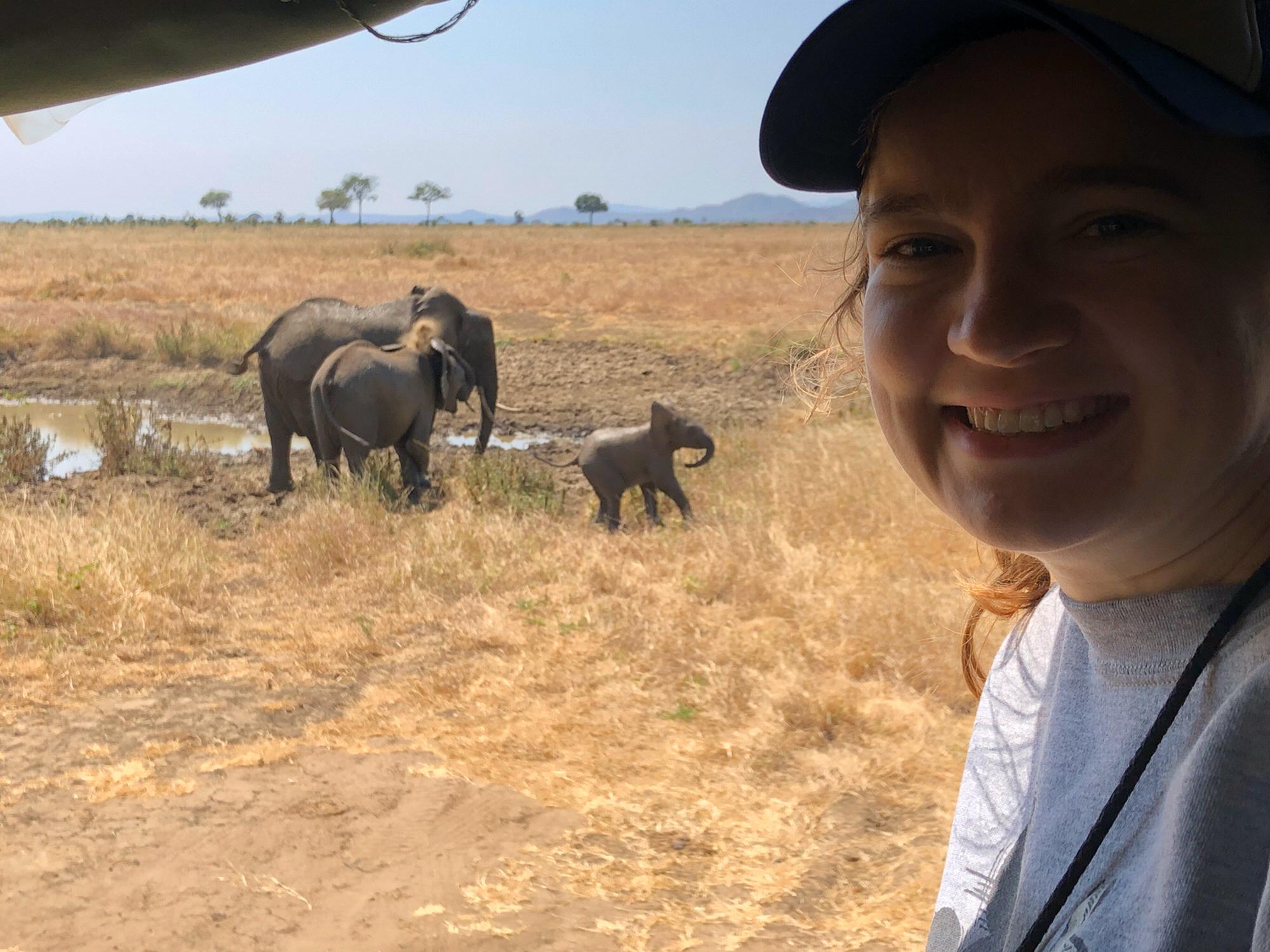 Baby elephant!!! PC Mike