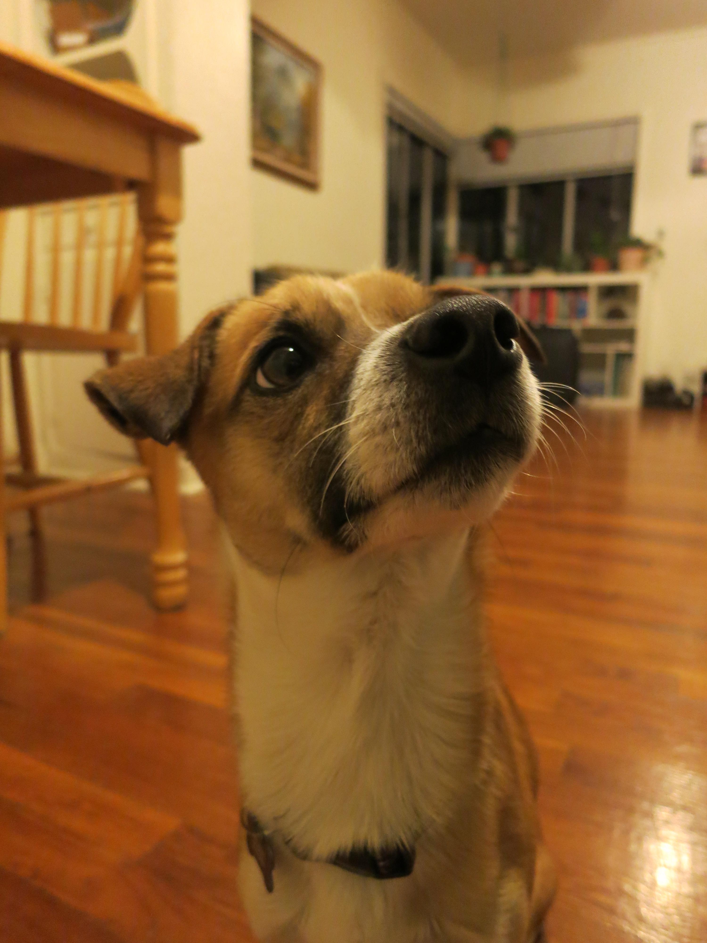 The Wedding Website of Amy Serna and Devin Higgins