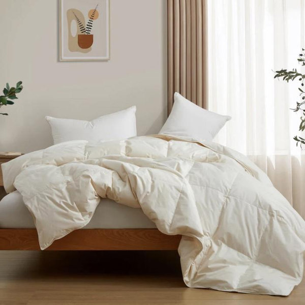 Lightweight Organic Cotton Feather Down Comforter