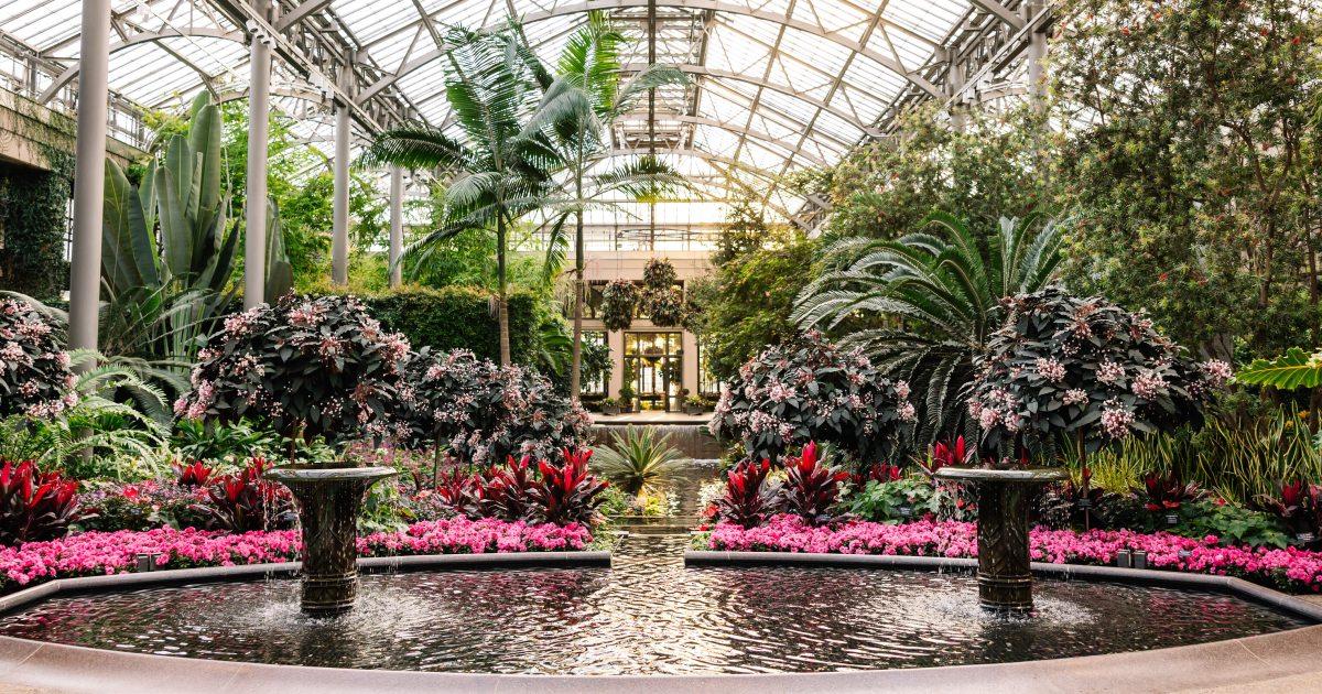 The Wedding Website of Mitchell Crane and Samantha Weaver