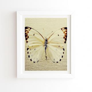All White Framed Wall Art