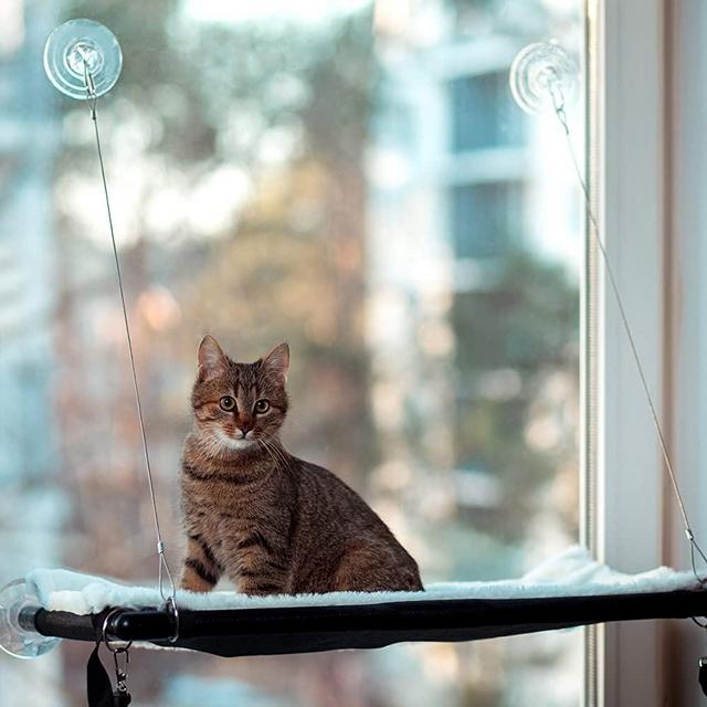 Homeleon Cat Window Perch with Rabbit Fur Cat Bed XL - 2-in-1 Cat Hammock and Cat Window Seat – Window Mounted Cat Window Hammock with Heavy Duty Suction Cups Holding to 40 LBs for Medium, Large Cats