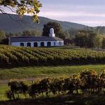 Barboursville Vineyards