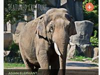 Columbus Zoo and Aquarium