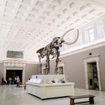 Buffalo Museum of Science