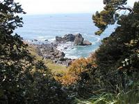 Patricks Point State Park