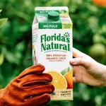 Florida's Natural Grove House Visitor Center