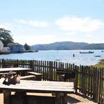 Hog Island Oyster Co