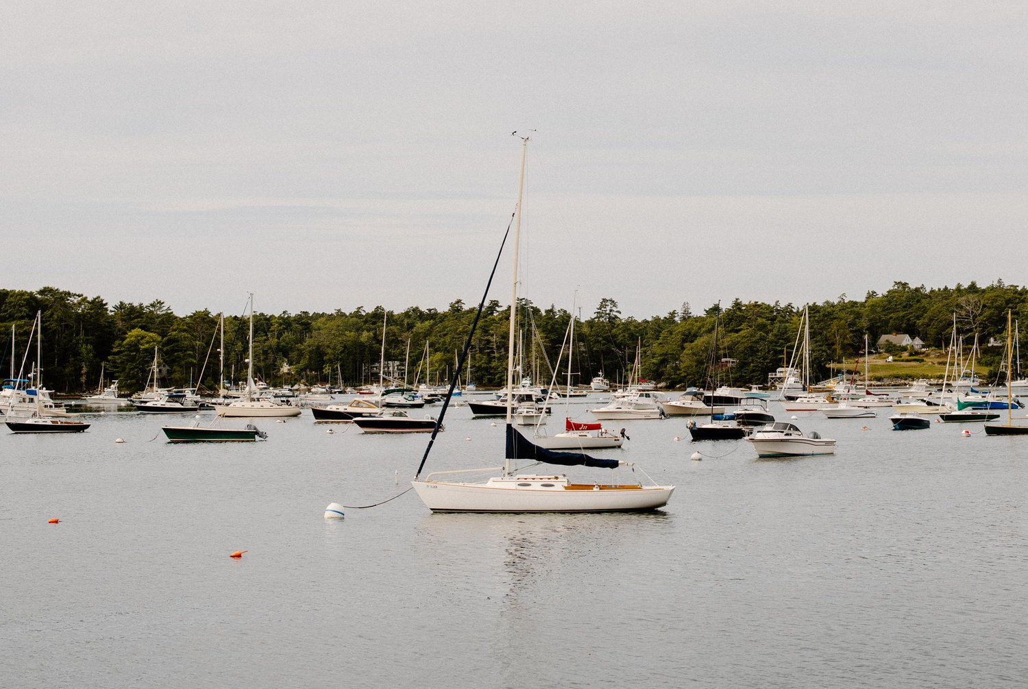 The Wedding Website of Rachel Lloyd and Kent Byrd