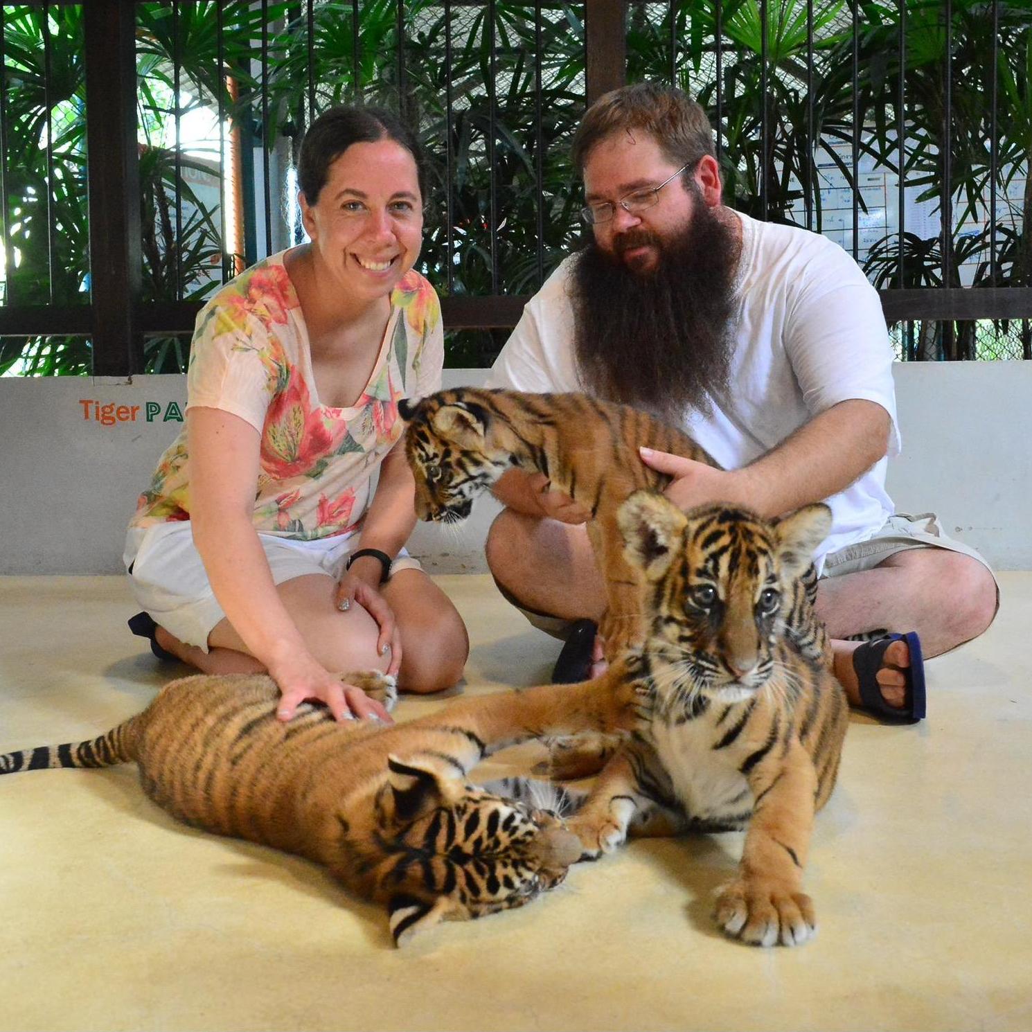 We love wild animals and travel around the world to see them.