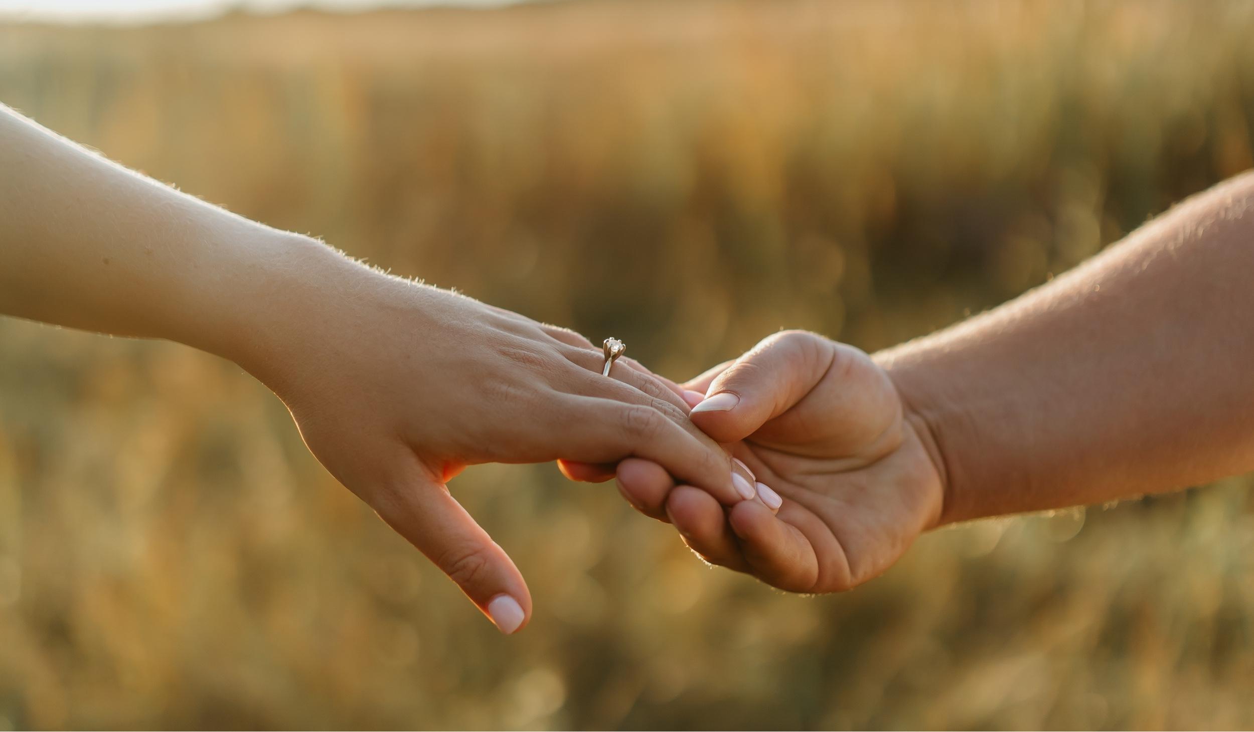 The Wedding Website of Owen Herrick and Morgan Cust