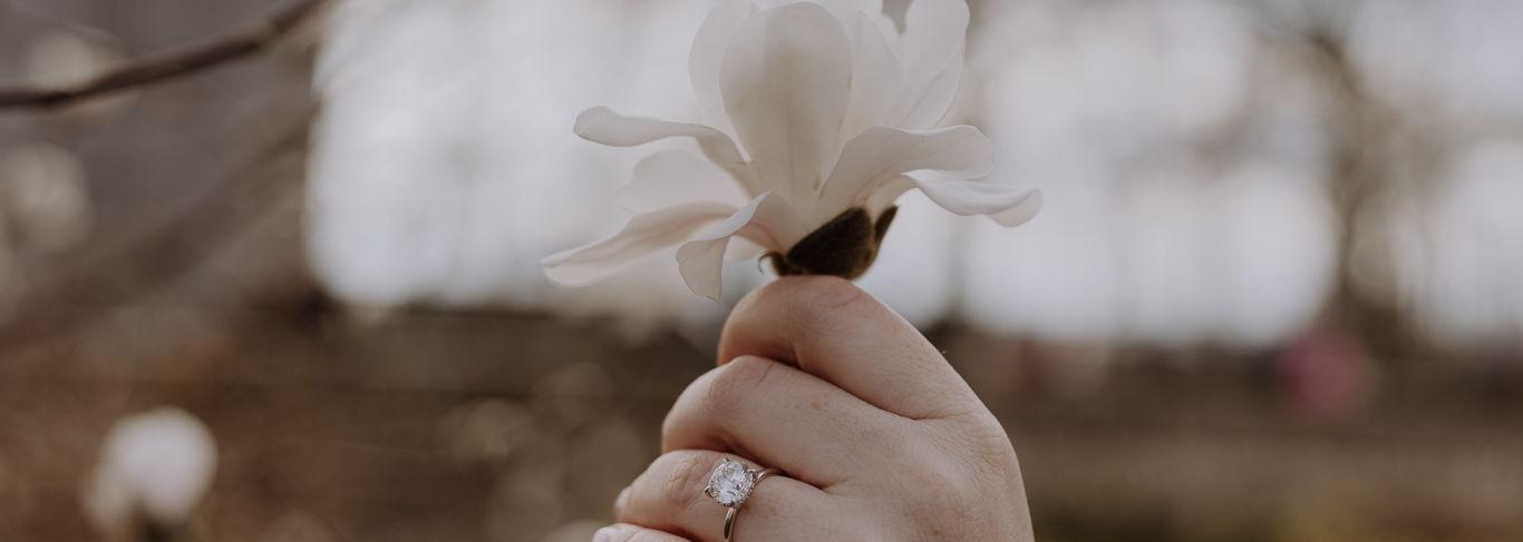 The Wedding Website of Conor Barnes and Stephanie Barnes