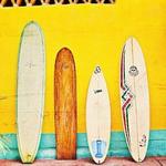 Hit up Lunazul Surf Shop