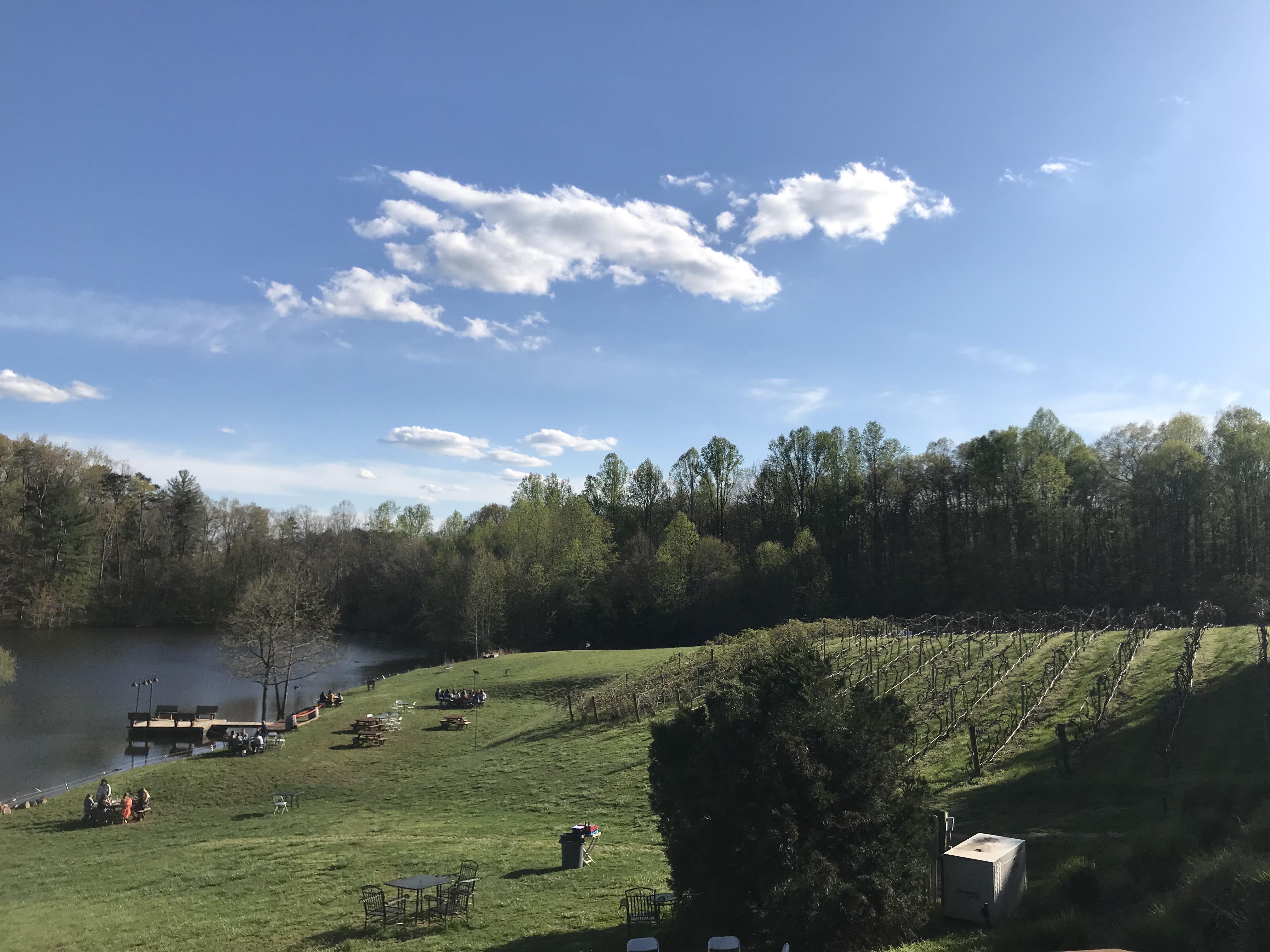 The Wedding Website of Elizabeth Anne Houghtaling and Robert Douglas Boyce