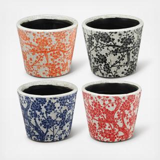 Small Planters, Set of 4