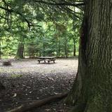 Hearts Content Recreation Site