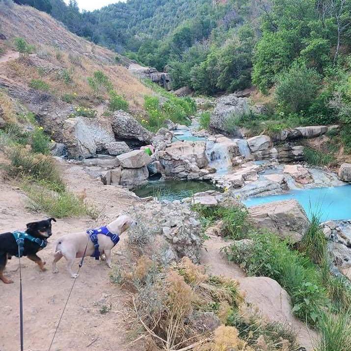 Hot springs in Utah