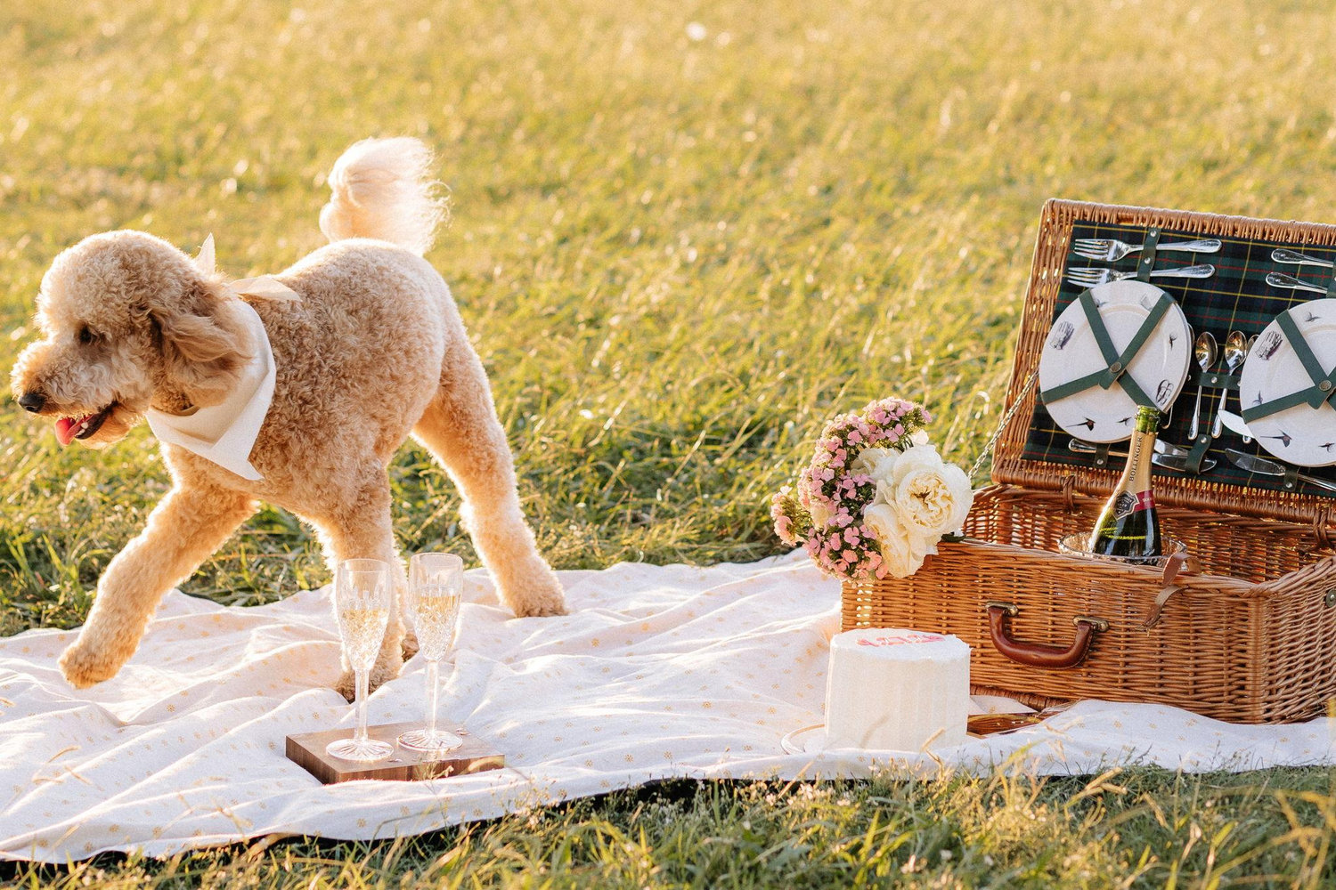 The Wedding Website of Jessica Pitts and Travis Pratt